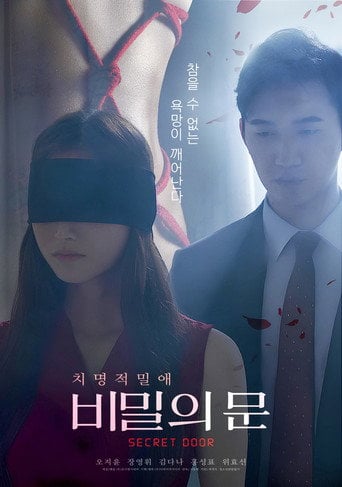 Movie poster for Secret Door (2025)