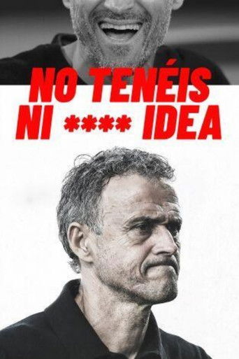 No tenéis ni **** idea poster