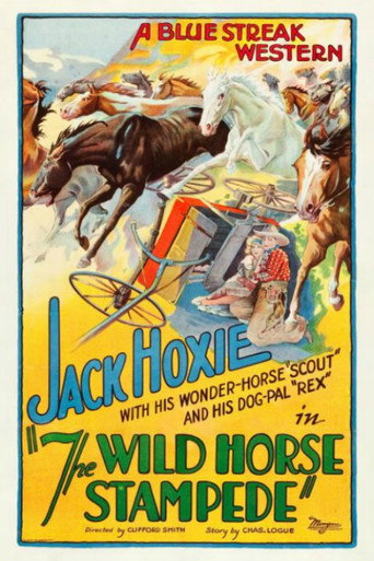 Movie poster for The Wild Horse Stampede (1926)