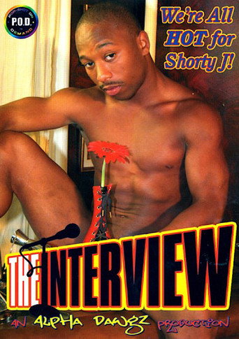 Movie poster for The Interview (2007)