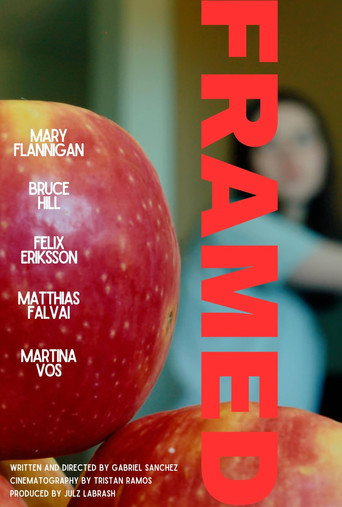 Movie poster for Framed (2023)