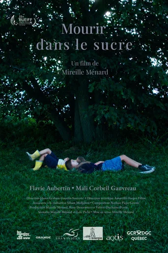 Movie poster for Mourir dans le sucre (2025)