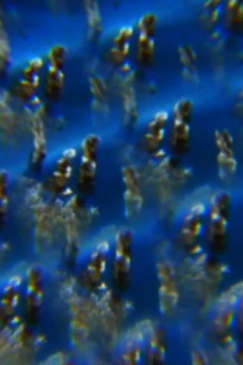 Movie poster for Jelly (2012)