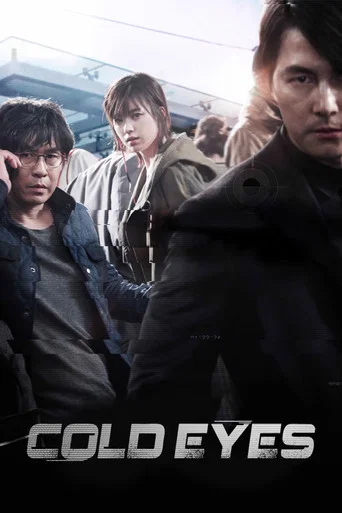 Movie poster for Cold Eyes (2013)