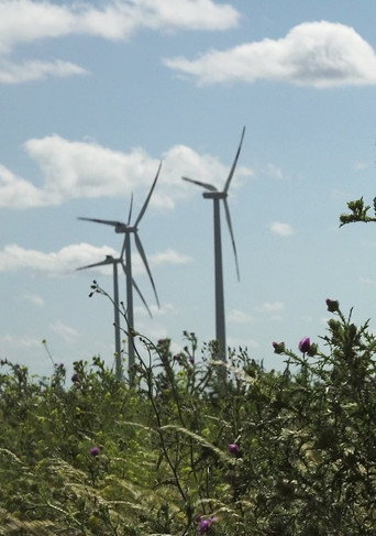 Movie poster for Windpark: Ein Lichtspiel bei Nacht (2024)
