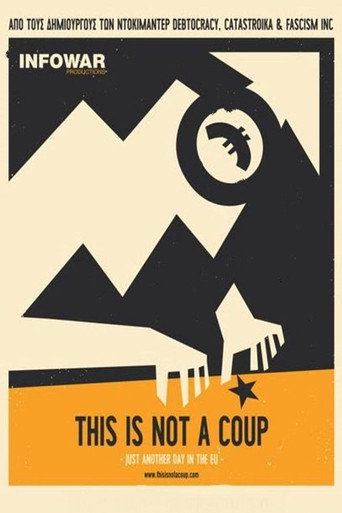 Movie poster for This Is Not a Coup (2016)