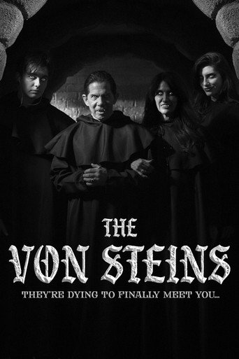 THE VON STEINS poster