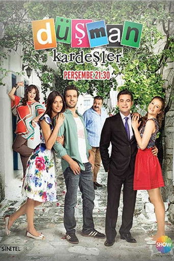 Düşman Kardeşler poster