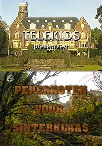 Pepernoten voor Sinterklaas poster