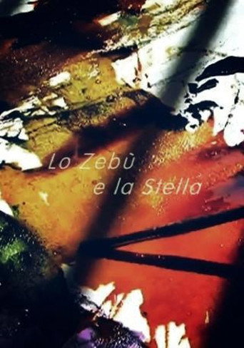Movie poster for Lo zebù e la stella (2007)