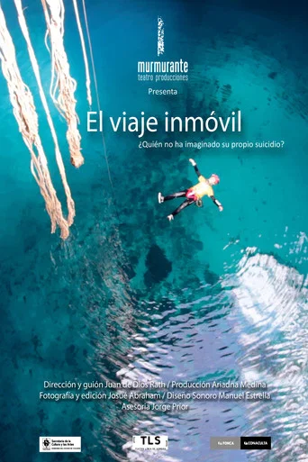 Movie poster for The motionless journey (2011)