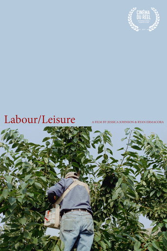 Movie poster for Labour/Leisure (2019)