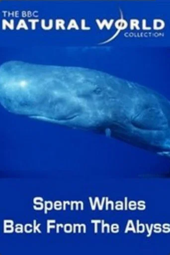Movie poster for Sperm Whales: Back from the Abyss (1996)