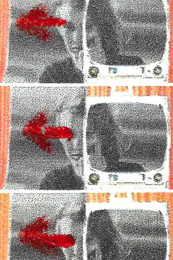 Movie poster for My Glances Went Like Gleaners (2024)