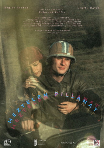 Movie poster for Our Tender Moment (2025)