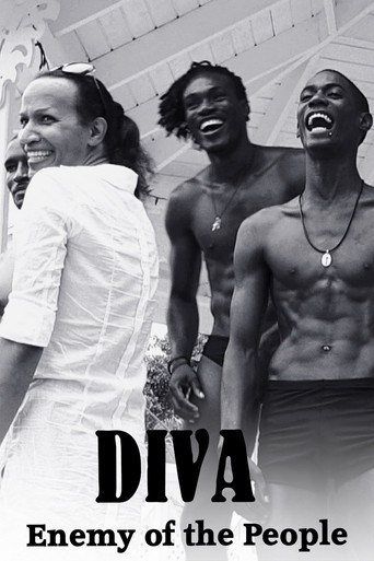 Movie poster for Diva: Enemy of the People (2016)