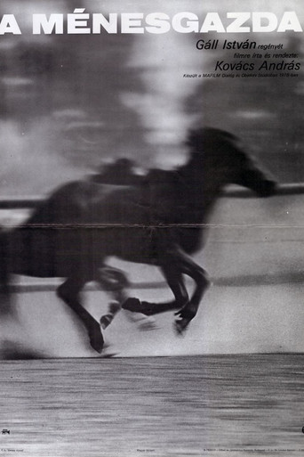 The Stud Farm poster