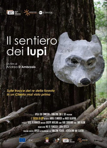 Movie poster for Il sentiero dei lupi (2023)