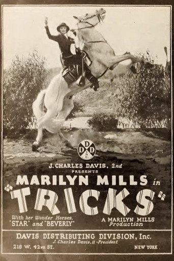 Movie poster for Tricks (1925)