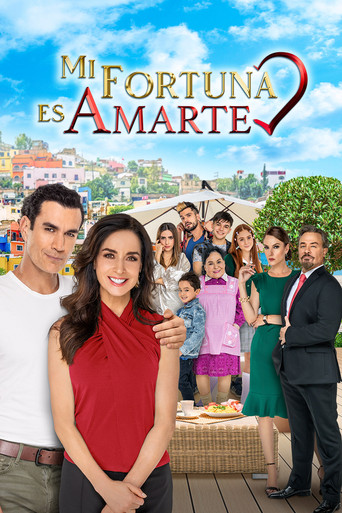Series poster for Your Love Is My Fortune (2021)