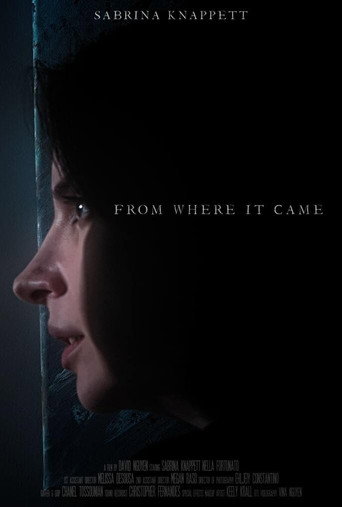 Movie poster for From Where It Came (2021)