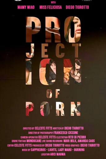 Movie poster for Projection of Porn (2024)
