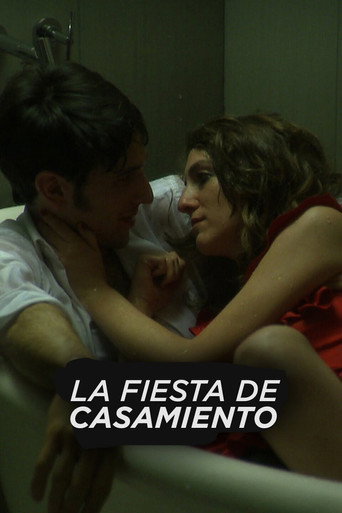 Movie poster for The Wedding Party (2011)