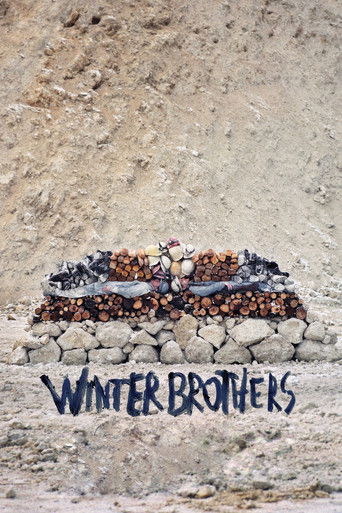 Winter Brothers poster