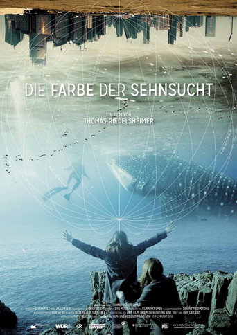 Movie poster for The Colour of Yearning (2017)