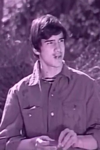 Four Trousers And One Calico Dress poster