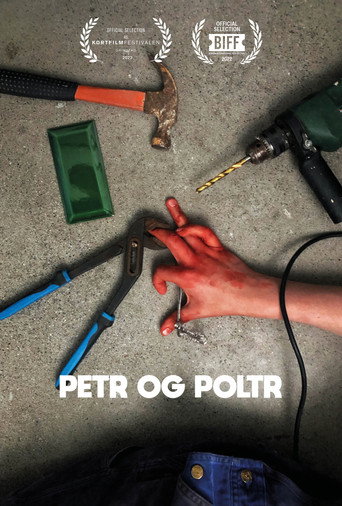 Petr og Poltr poster