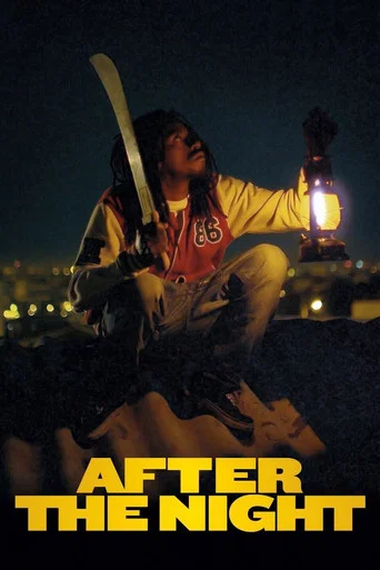 Movie poster for After the Light (2013)