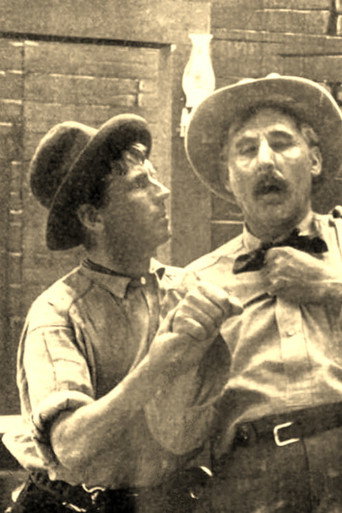 Movie poster for The Stage Driver's Daughter (1911)