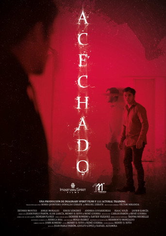 Movie poster for Followed (2022)