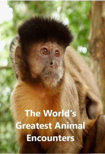 Series poster for World's Greatest Animal Encounters (2020)