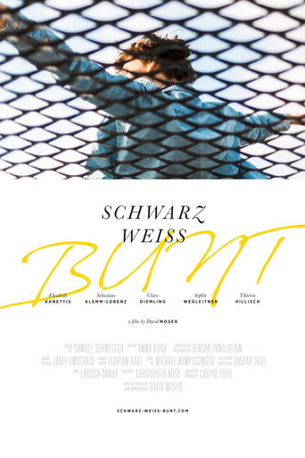 Movie poster for Schwarz Weiss Bunt (2020)