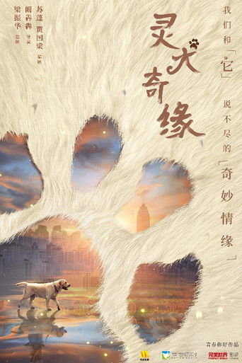 灵犬奇缘 poster