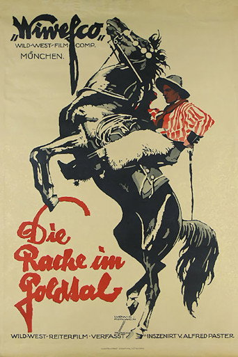 Movie poster for Die Rache im Goldtal (1919)