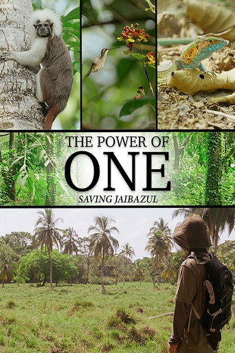 Movie poster for The Power of One