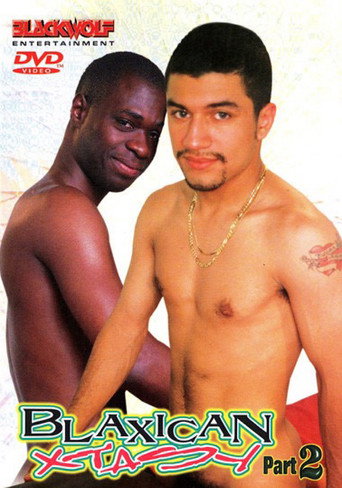 Movie poster for Blaxican Xtasy 2 (2003)