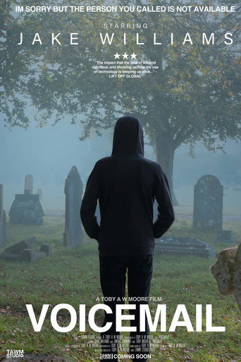 Movie poster for Voicemail (2024)