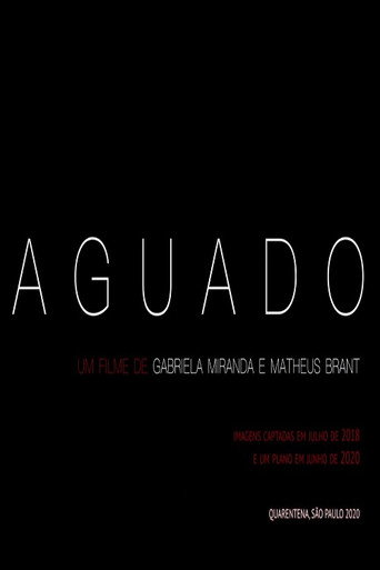 Movie poster for Aguado (2021)