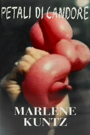 Movie poster for Marlene Kuntz: Petali di Candore (1998)