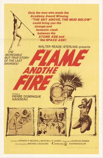 Movie poster for Flame and the Fire (1966)
