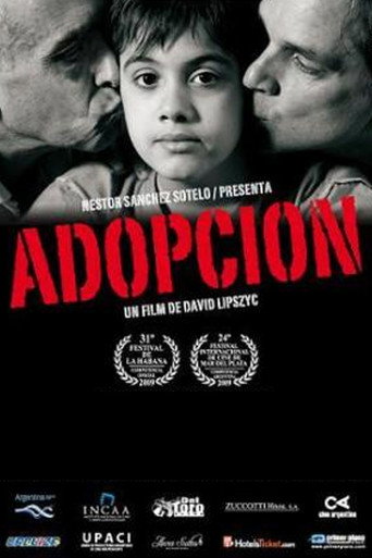 Movie poster for Adoption (2010)