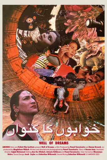Movie poster for Well of Dreams (2024)
