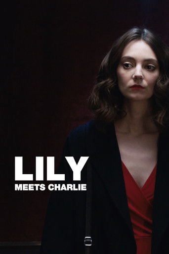 Lily Meets Charlie poster