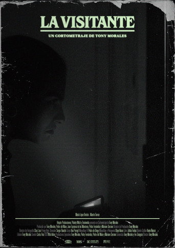 Movie poster for La visitante (2024)