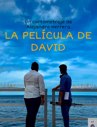 Movie poster for La película de David (2023)