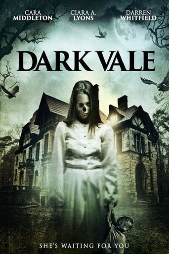Movie poster for Dark Vale (2018)
